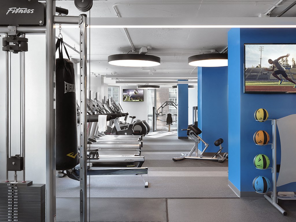 Fitness center with punching bag, medicine balls and various equipment  at Clayton On The Park, Clayton, 63105