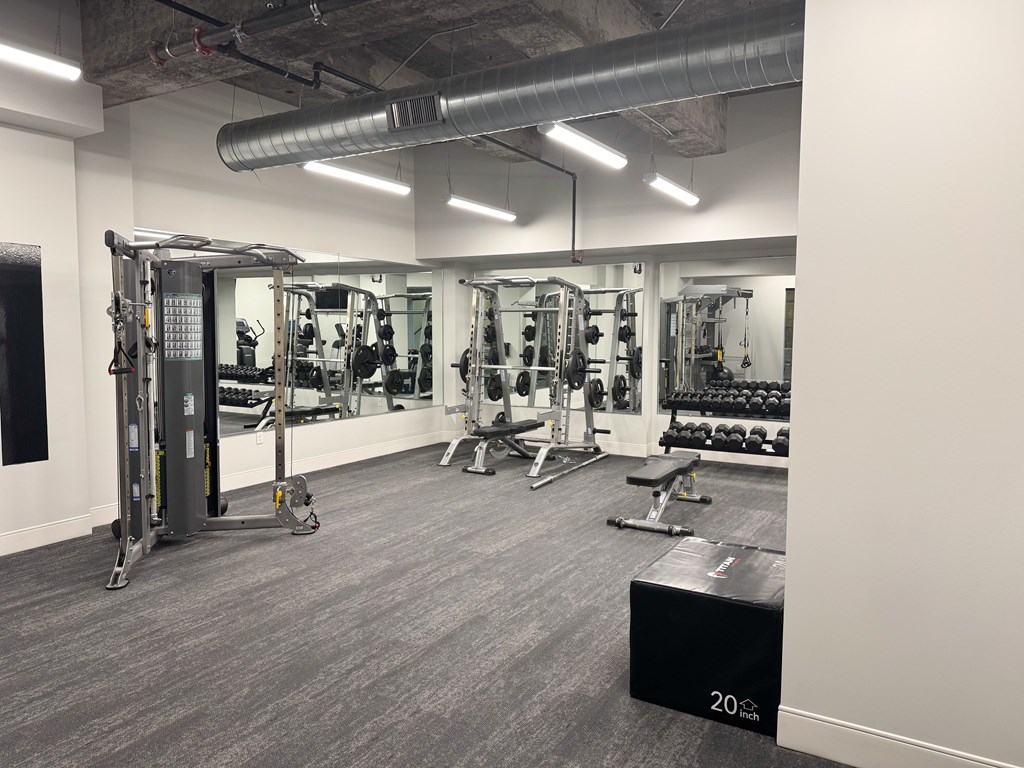 A gym with a variety of equipment including a squat rack, bench, and weights.