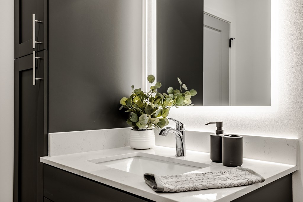 A white sink with a potted plant on top of it.