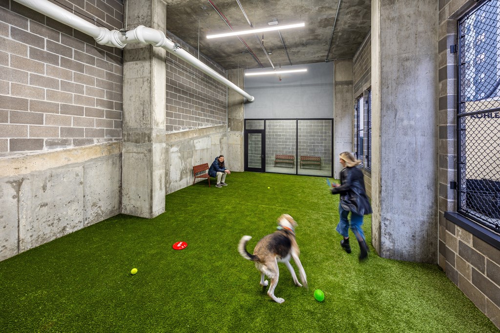 A dog playing with a ball in a room with a person in the background.