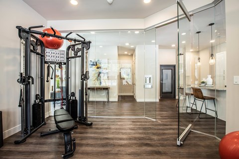 A home gym with a variety of equipment including a weight bench, a pull up bar, and a medicine ball at The Elle on Lockwood Apartments, Webster Groves, 63119