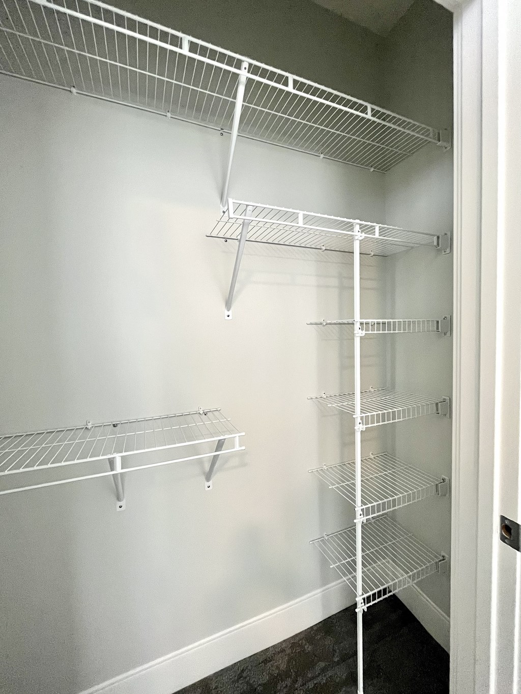 Empty white shelves in a pantry.