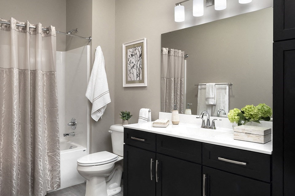 Guest Bathroom at The Oasis at Hartman Lakes, Shiloh, IL, 62269