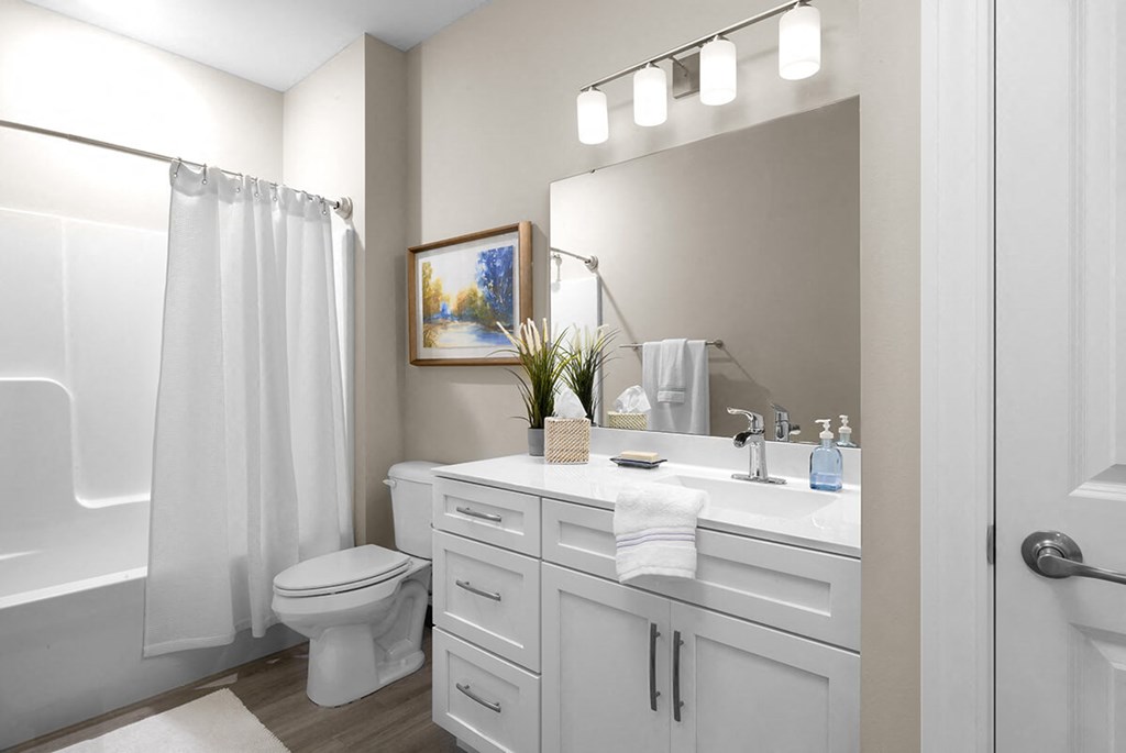 Guest Bathroom at The Oasis at Hartman Lakes, Illinois, 62269