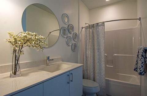 a bathroom with a sink and a toilet and a shower