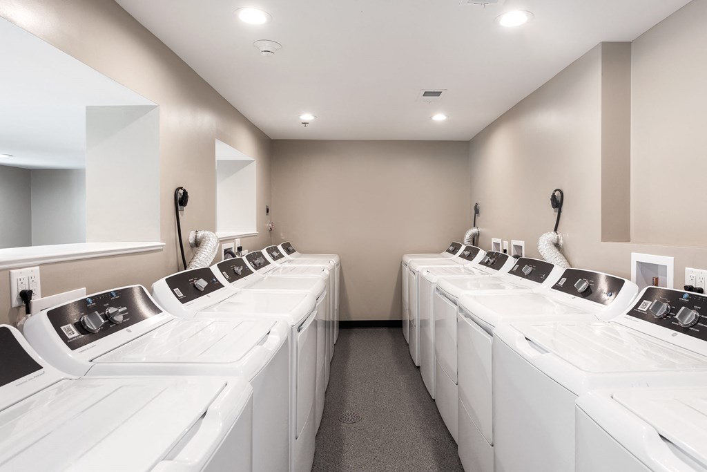 a long row of white washing machines in a white laundry room