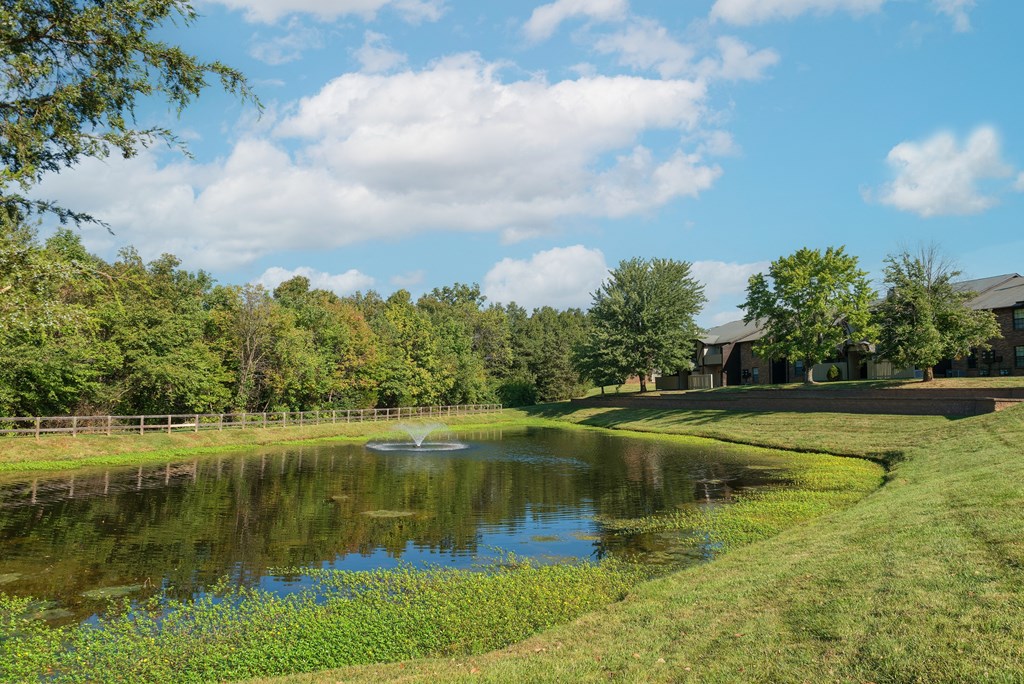 a pond with a fountain in the middle of a grassy field