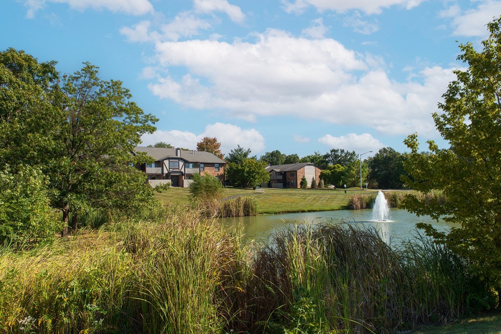 a pond with a fountain and houses in the background