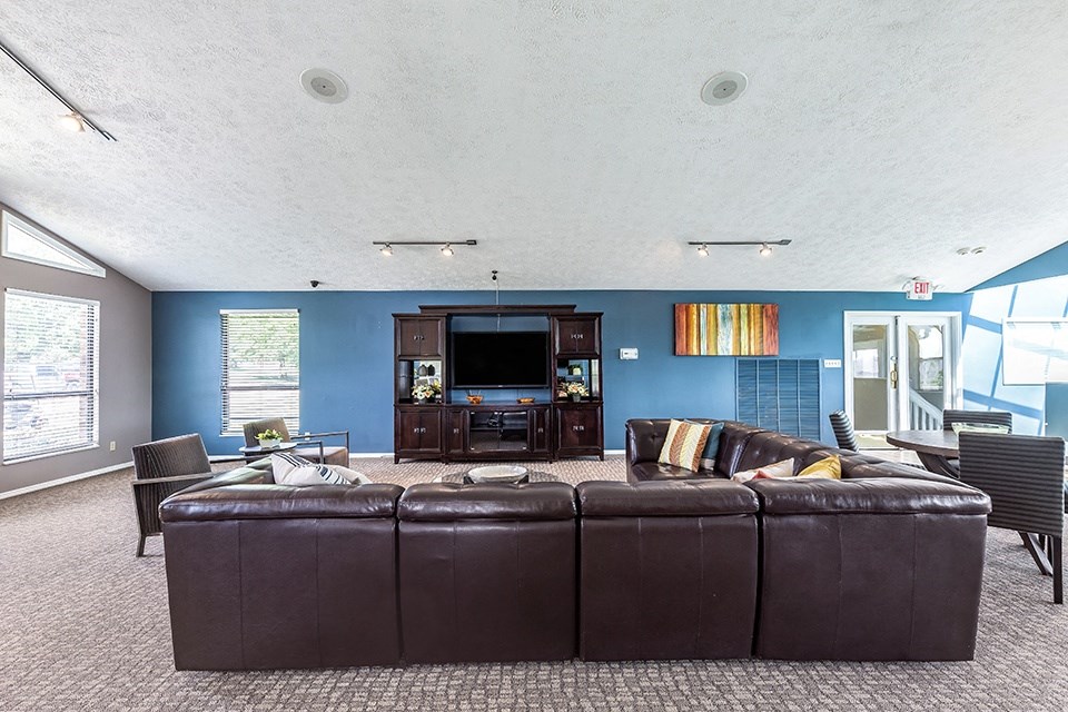 brown couch in front of TV