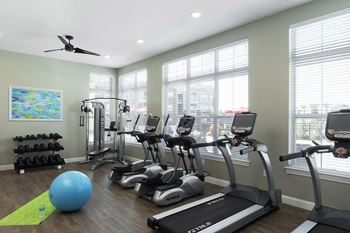 the gym at Thirteen01 at Hartman Lakes, Shiloh, IL