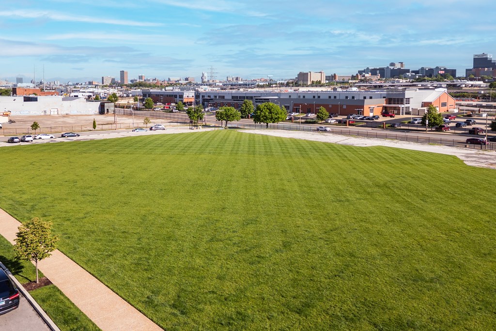 A large green field with a tree and a car on the left side.