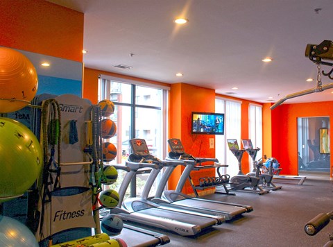 Cardio Machines at The Laurel Apartments, Saint Louis