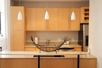 Interior Image of Apartment Kitchen - Photo Gallery 2