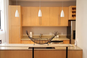 Interior Image of Apartment Kitchen