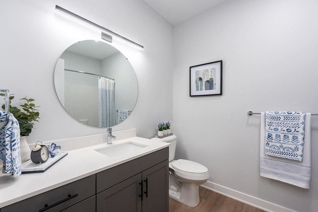 bathroom with plank flooring, gray cabinetry, white quartz countertops and large circular mirror at Steelcote Square, St. Louis, MO