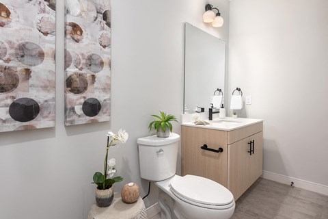 a bathroom with a toilet and a sink and a mirror at The Flats & Terraces at Wildhorse Village, Chesterfield, MO