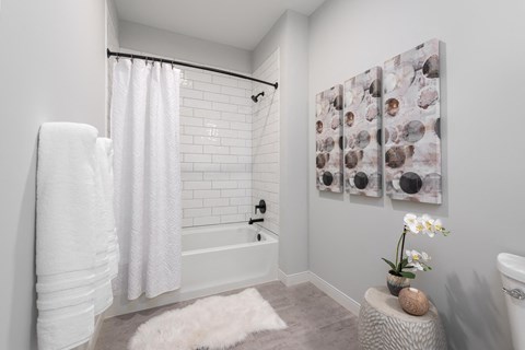 a bathroom with a tub and a shower and a painting on the wall at The Flats & Terraces at Wildhorse Village, Chesterfield, 63005