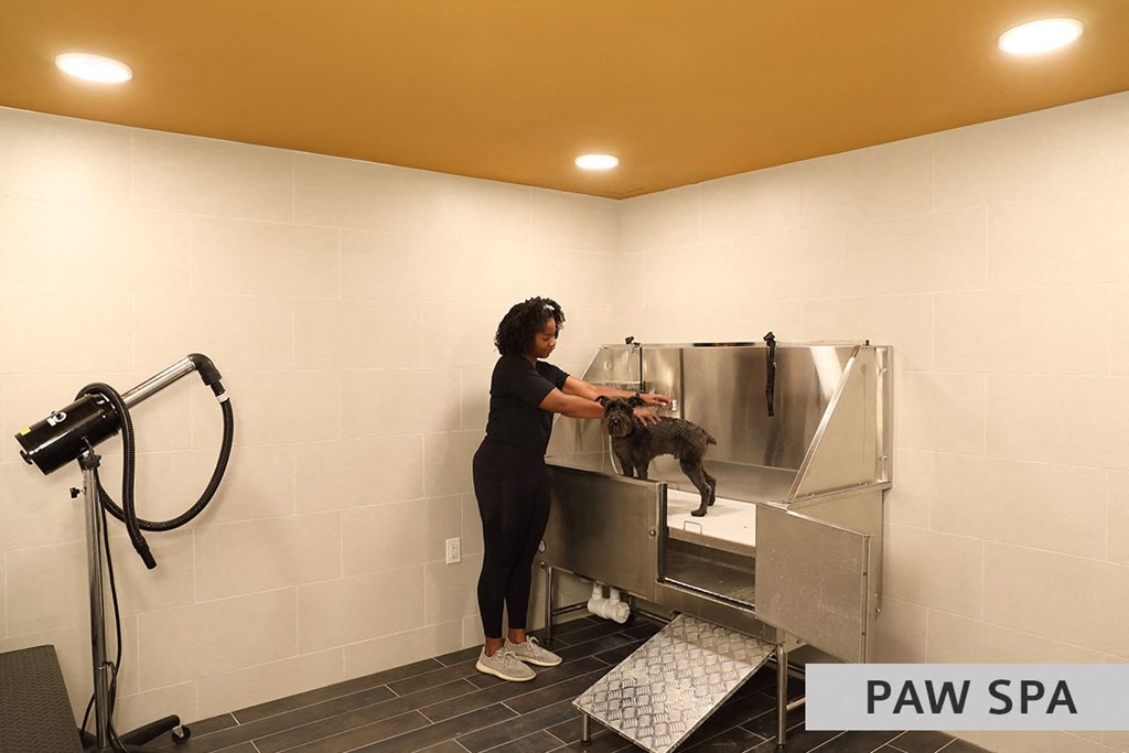 Paw Spa at Expo at Forest Park, St. Louis, Missouri