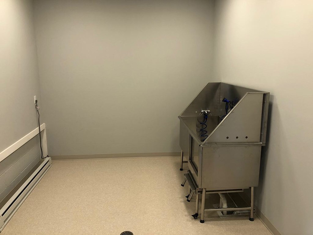 Pet Wash at Hibernia Apartments, St Louis, MO, 63139