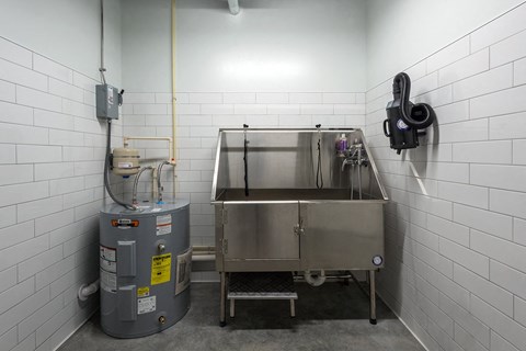 a kitchen with a stainless steel sink and a mixer