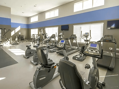 A gym with treadmills and elliptical machines.