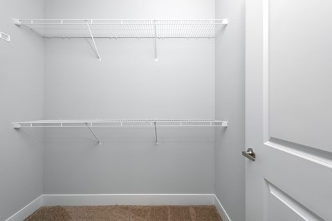 A white closet with a carpeted floor and a white door.