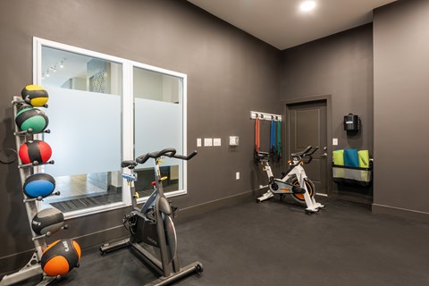 A room with a bike, a row of exercise balls and a window.