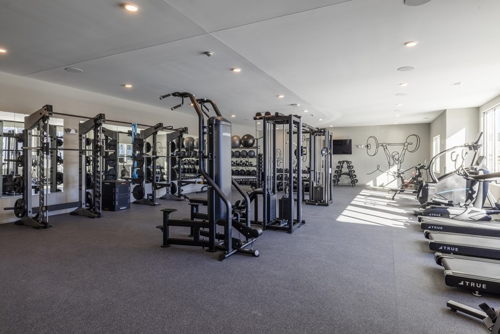 A well-equipped gym with various exercise machines and weights.at Preserve at Sycamore Creek, Osage Beach, Missouri