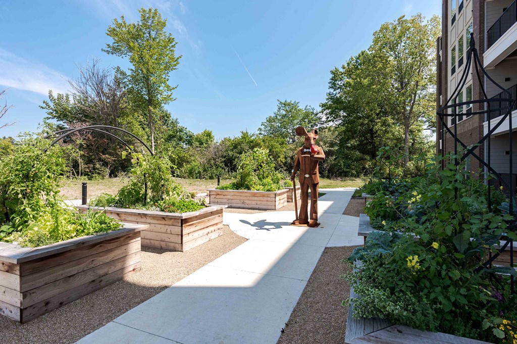 A person is standing on a concrete path surrounded by raised garden beds.