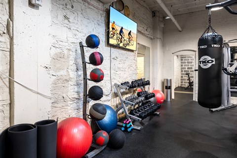A gym with a punching bag, weights and exercise balls.