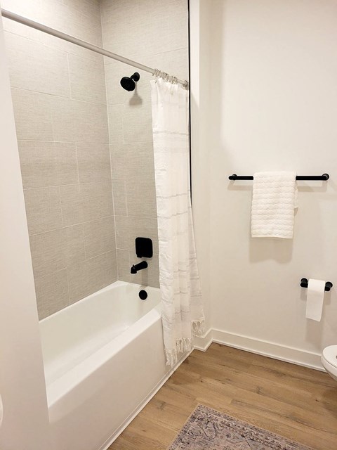 a bathroom with a bathtub and a toilet