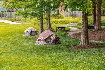 A park with a bench and a tree.