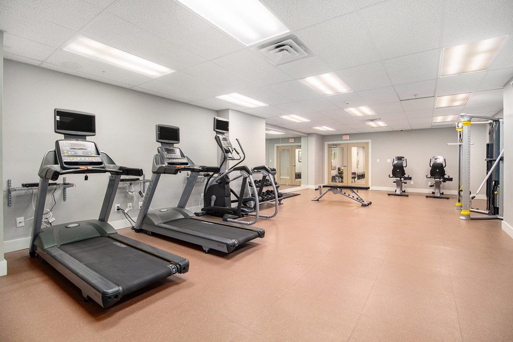 A gym with treadmills and elliptical machines.