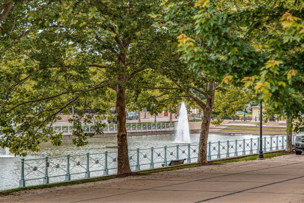 A fountain is in the middle of a lake surrounded by trees.