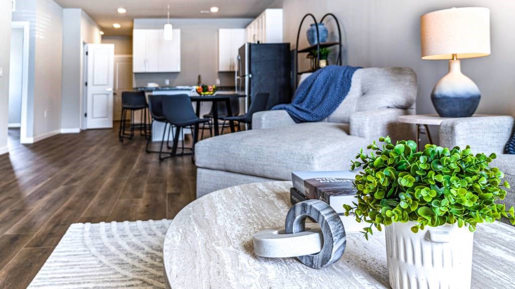 A living room with a grey couch, a white rug, and a potted plant.