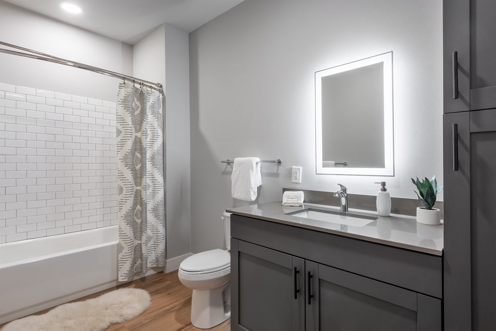 a bathroom with a sink and a toilet and a shower