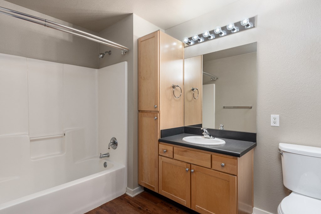 a bathroom with a sink and a toilet and a bath tub at Lofts at Lafayette Square Apartments, Saint Louis, MO