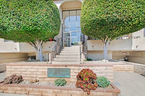 A green tree is in front of a building.