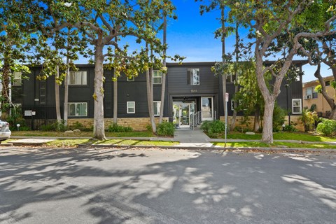 A black building with a tree in front of it.