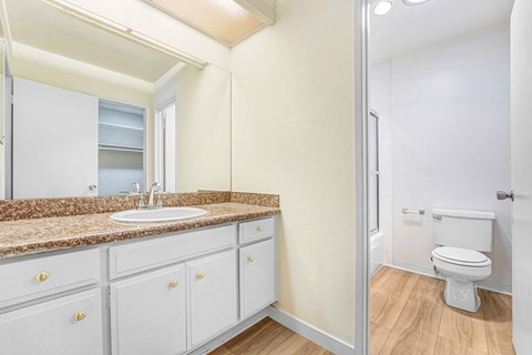 A bathroom with a sink, mirror, and toilet.