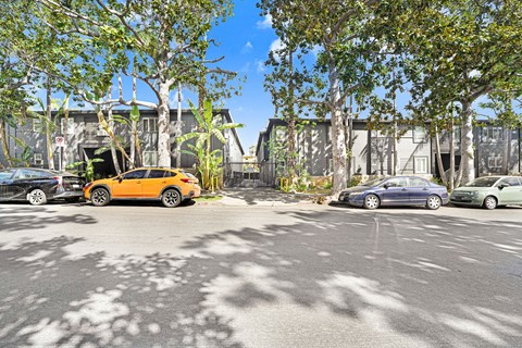 A parking lot with cars and trees.