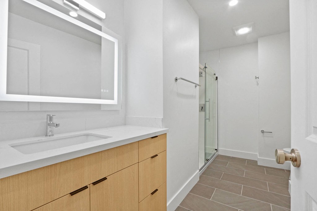 a bathroom with a sink and a shower