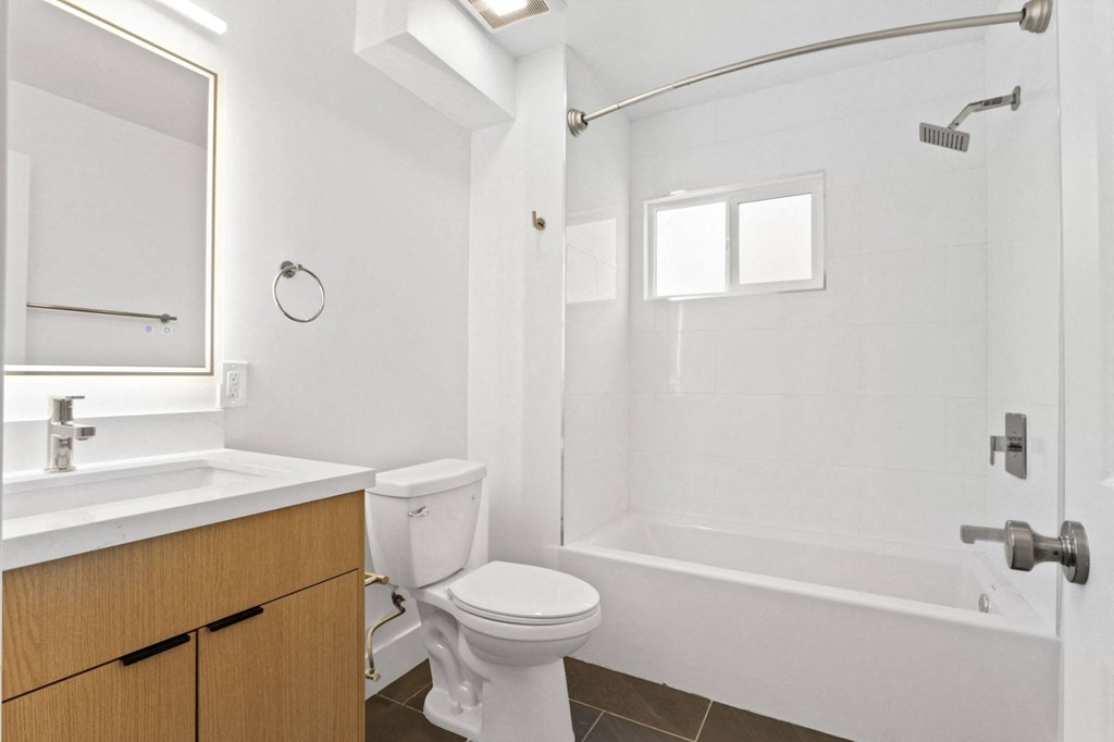 a bathroom with a shower toilet and sink and a mirror