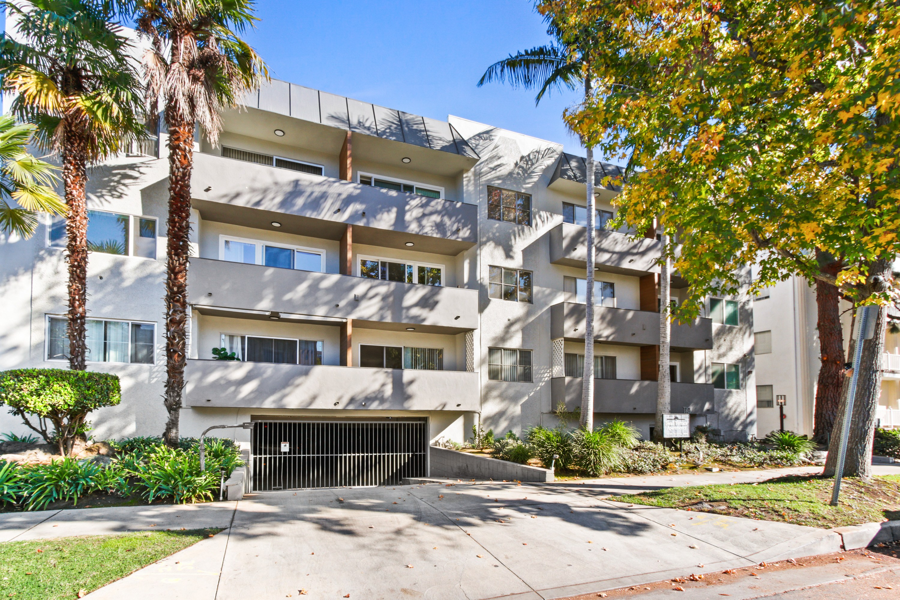 A modern apartment building with a palm tree in front.