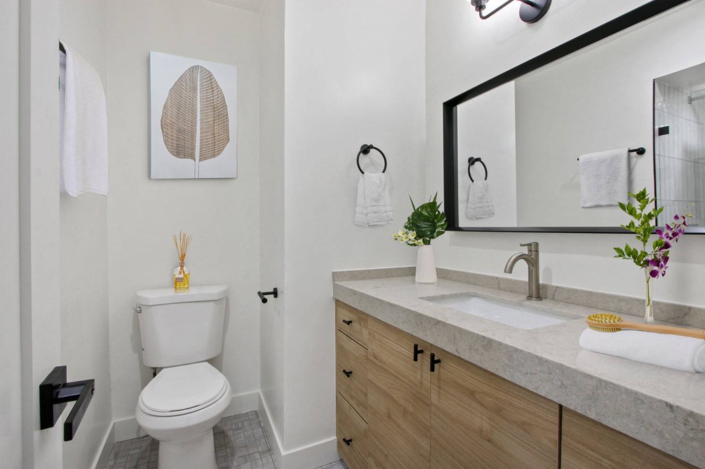a bathroom with a toilet and a sink and a mirror