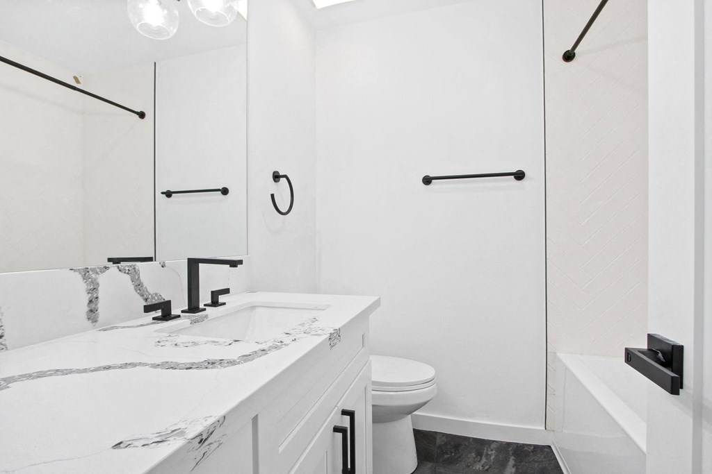 a bathroom with a sink and a toilet and a shower