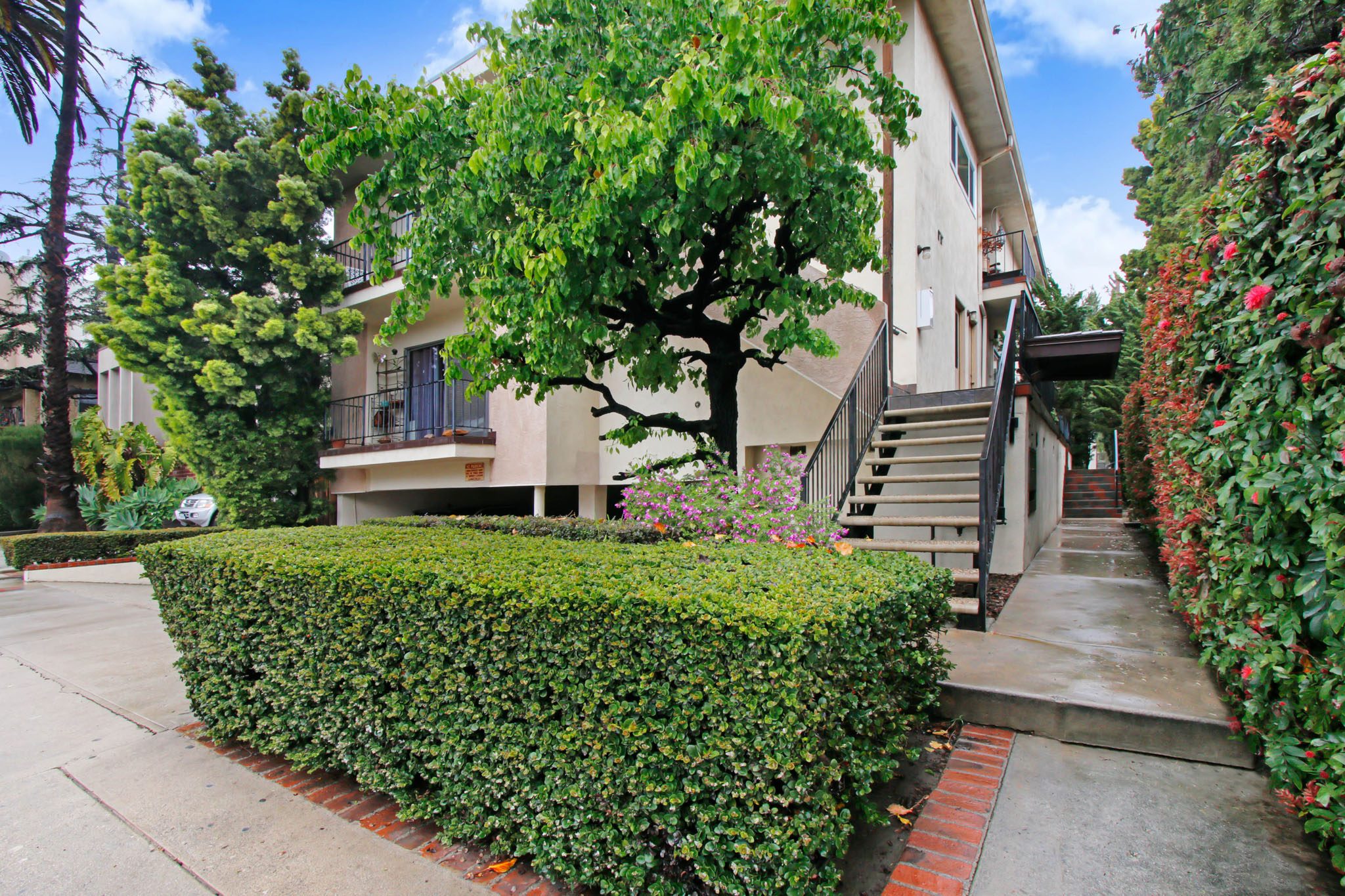 A house with a tree in front of it.