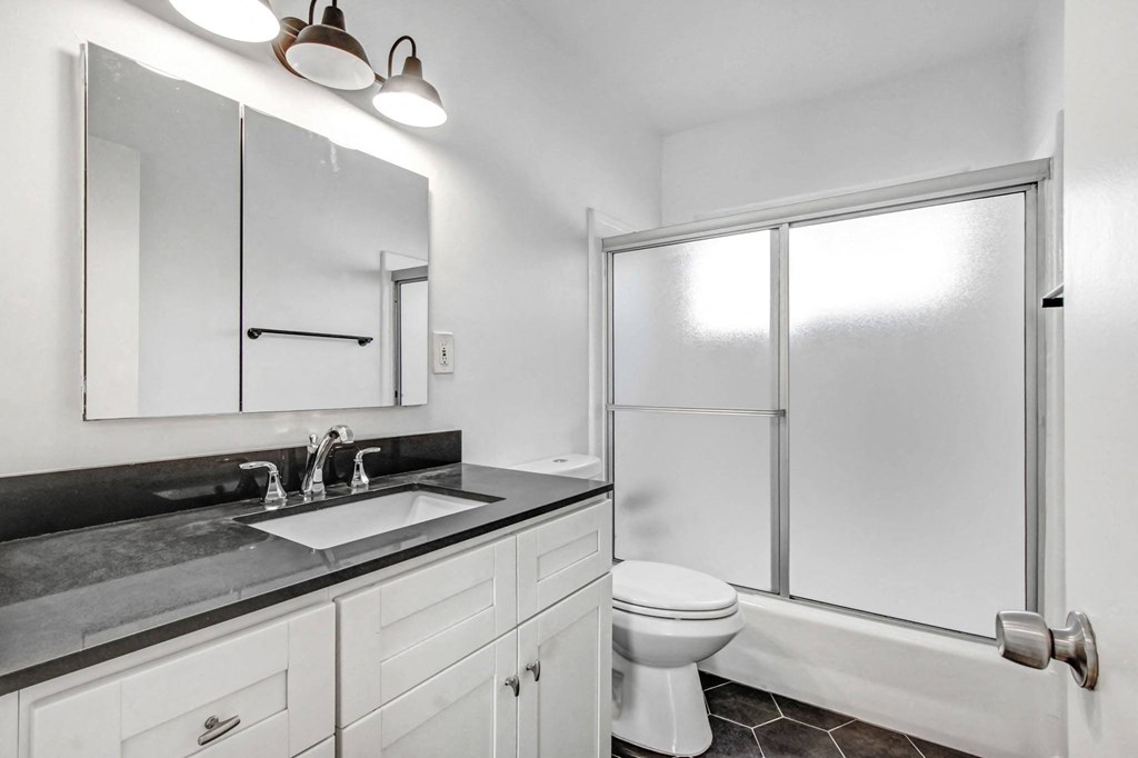a bathroom with a sink and a toilet and a shower