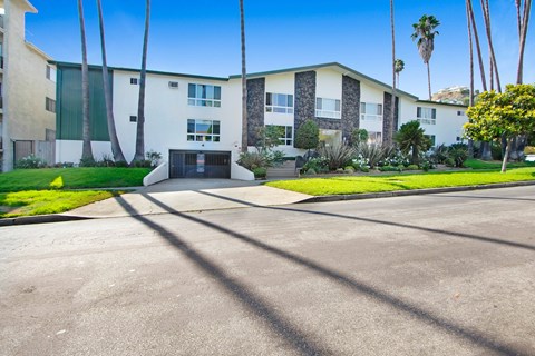A sunny day at the apartment complex with palm trees and a clear blue sky.