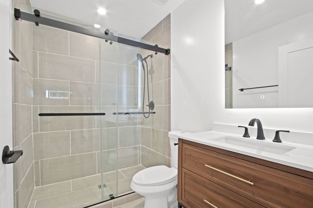 A modern bathroom with a walk-in shower and a white toilet.